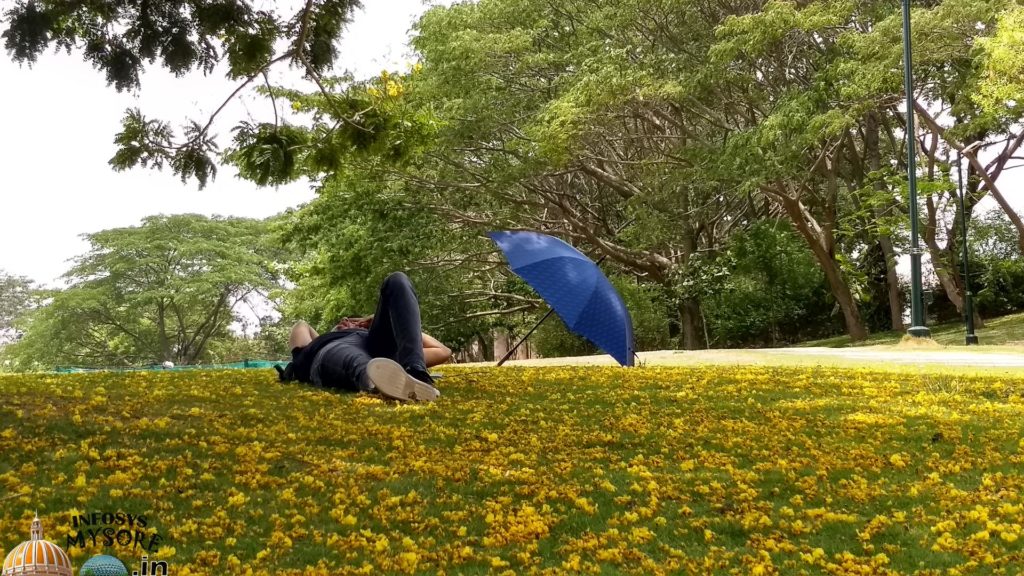 A day in infosys mysore campus