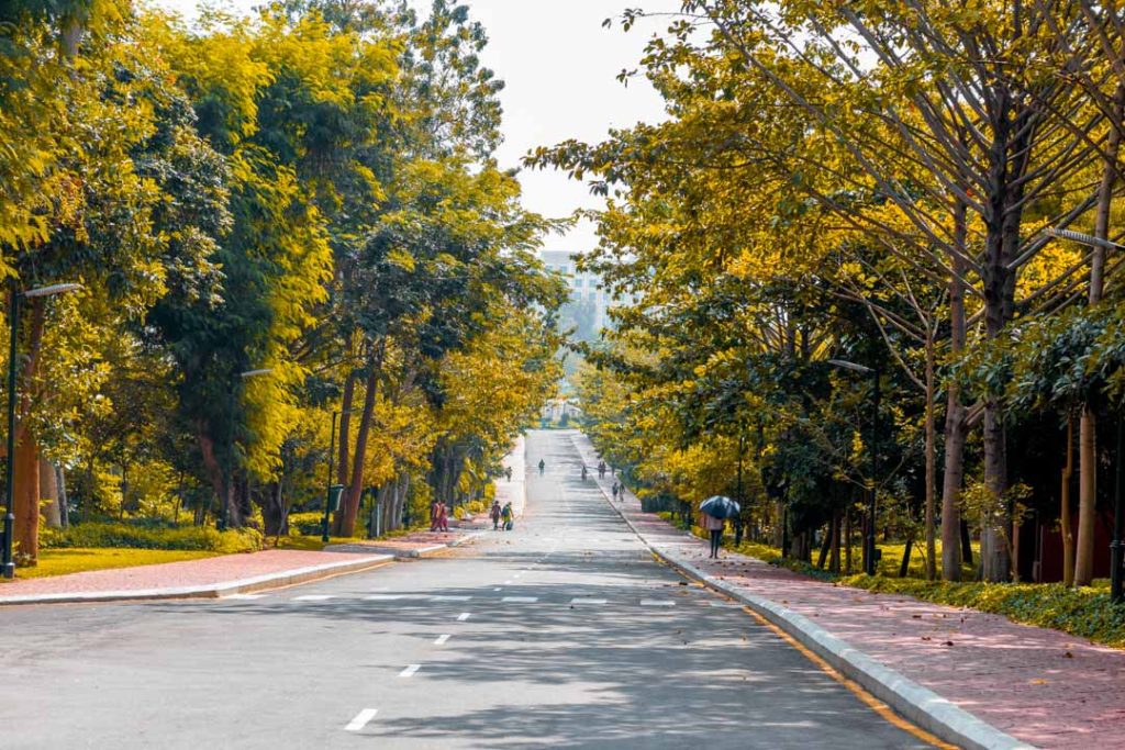 Road to OASIS food court