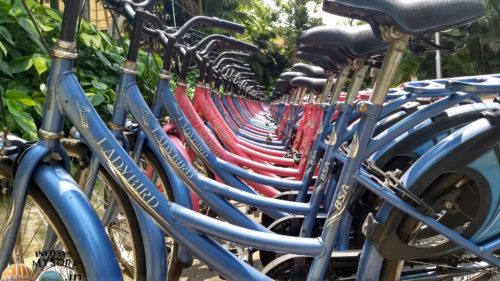 cycle bay in mysore infosys